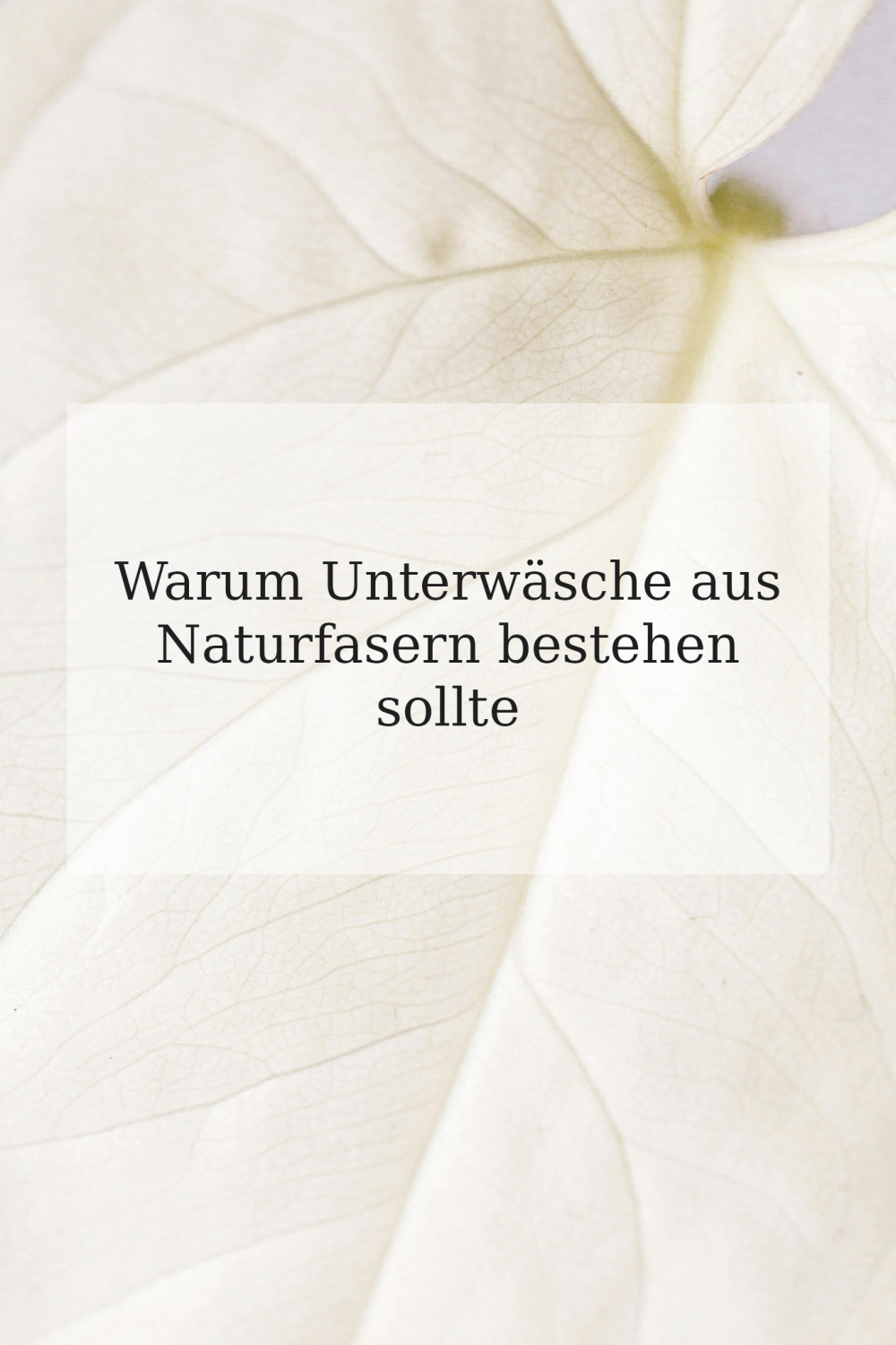 Warum Unterwäsche aus Naturfasern bestehen sollte