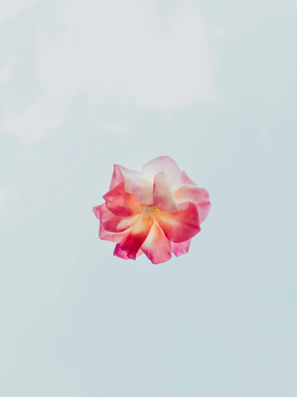 Bin ich zu alt, um getragene Unterwäsche zu verkaufen?