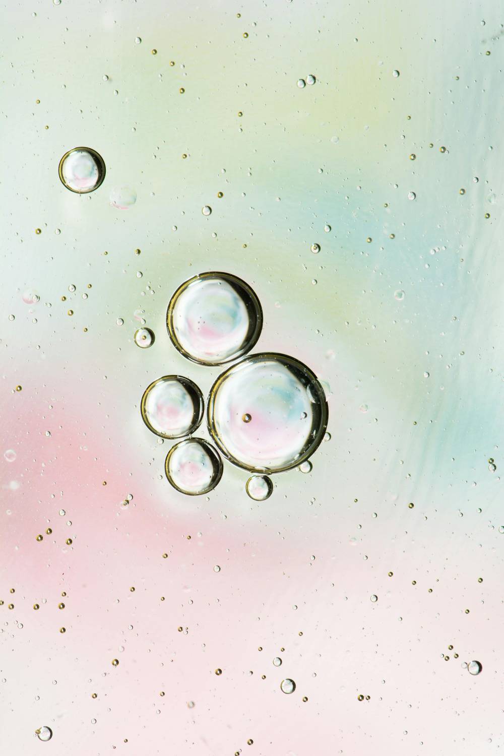 Wie sind Pheromone entstanden?