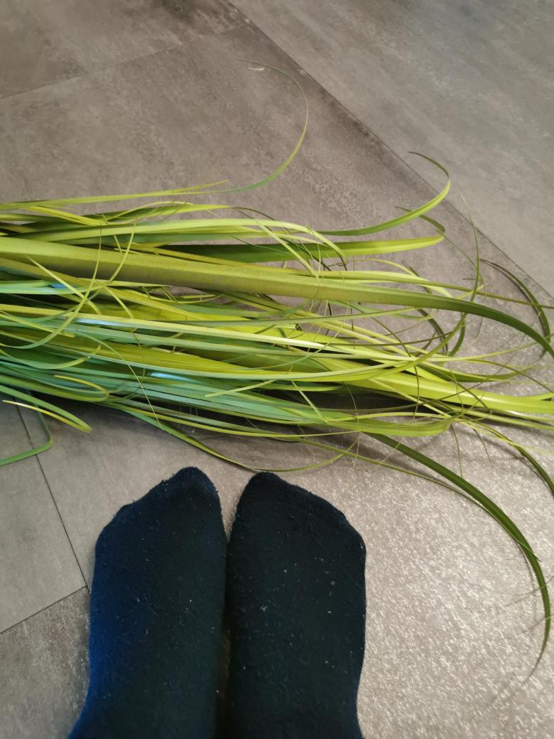 Socken  Haussocken