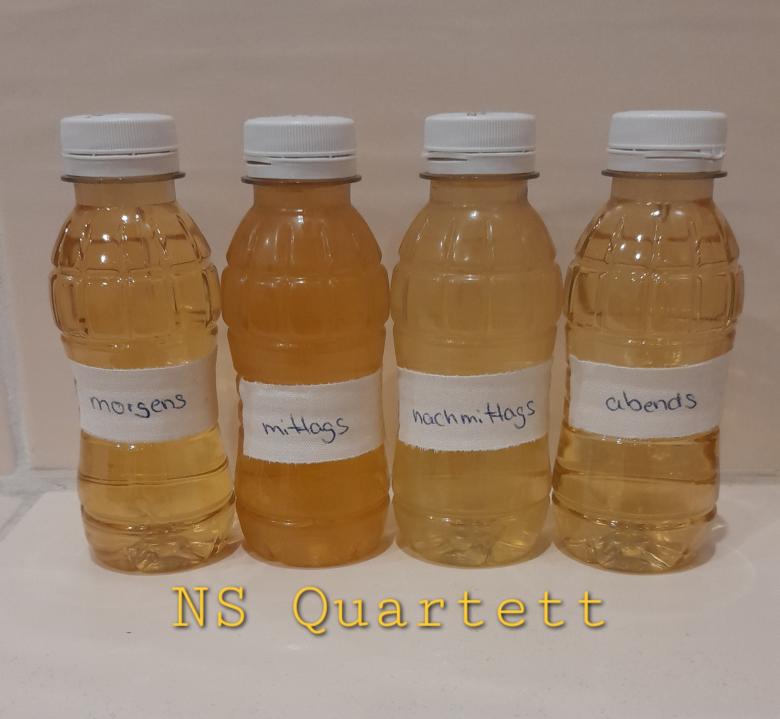 NS Quartett 4x100ml