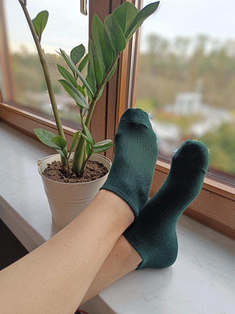 ~ TannengrüneSommersocken ~