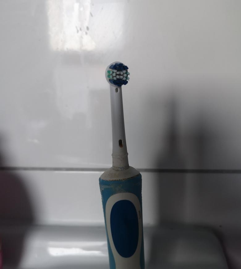 3 Monate alter  benutzer Zahnbürstenkopf