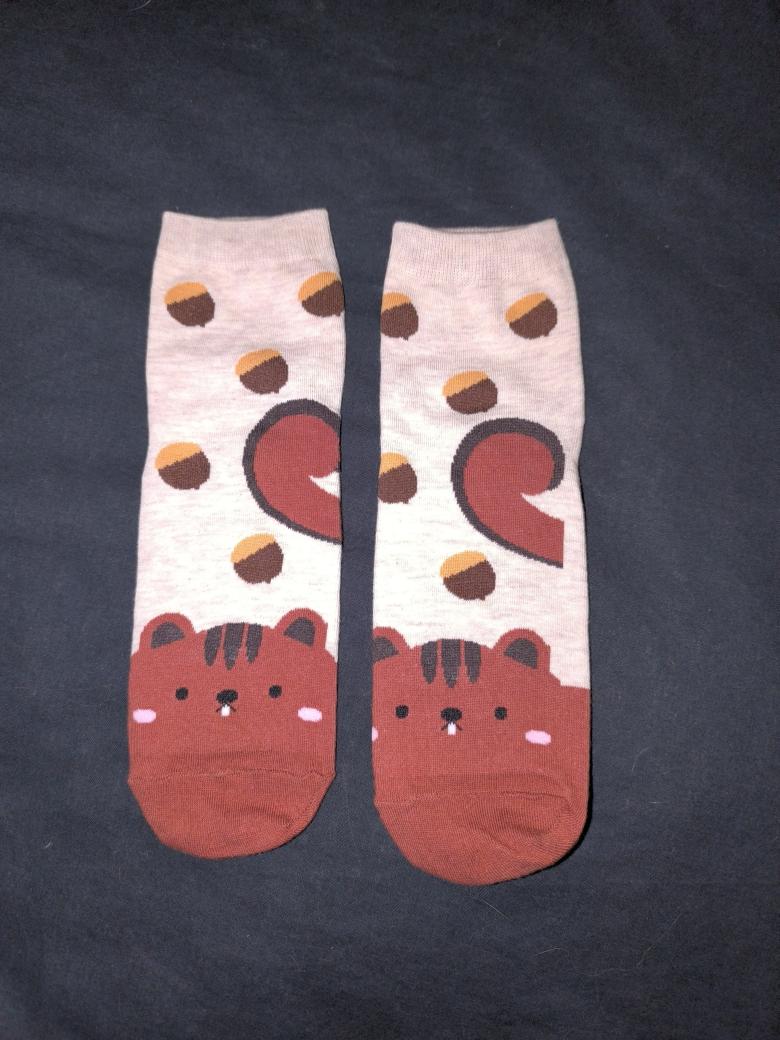 Eichhörnchen Socken 🐿️