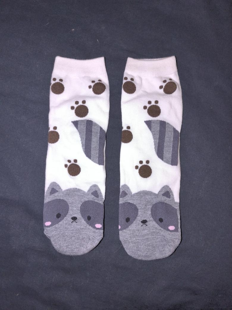 Waschbär Socken 🦝