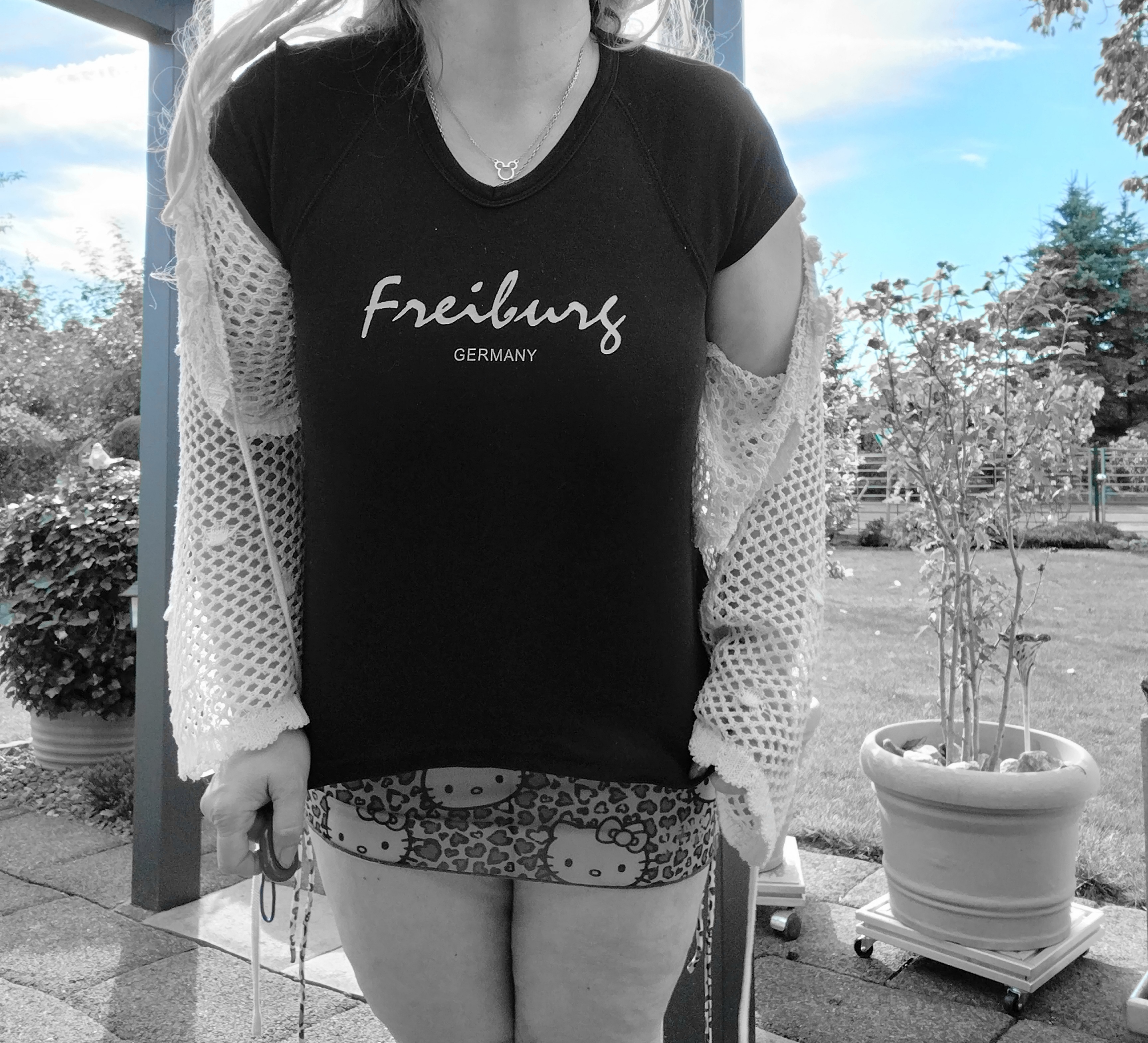 Meine Reise nach Freiburg