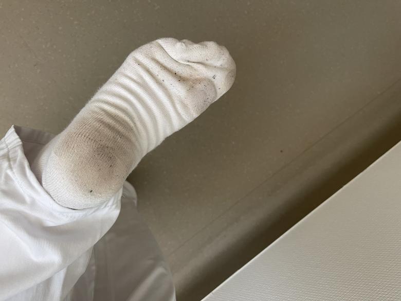 Smellys von Jana (5-Days) Käsig/Intensiv