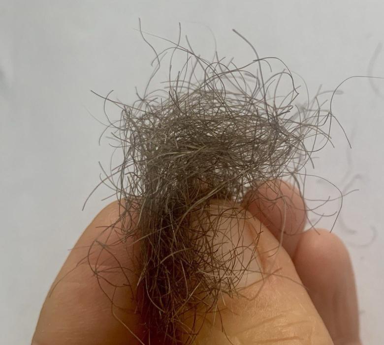 Sexy Busch- mein dunkles Schamhaar