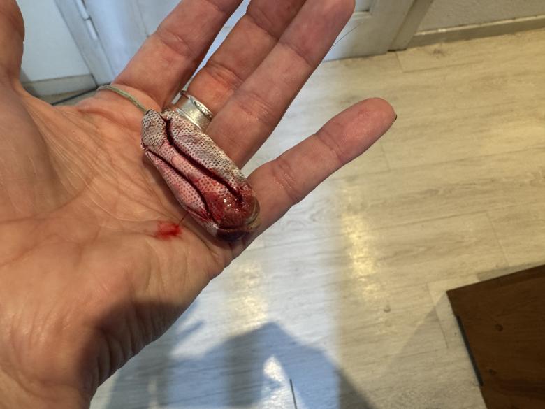 Frischer Tampon