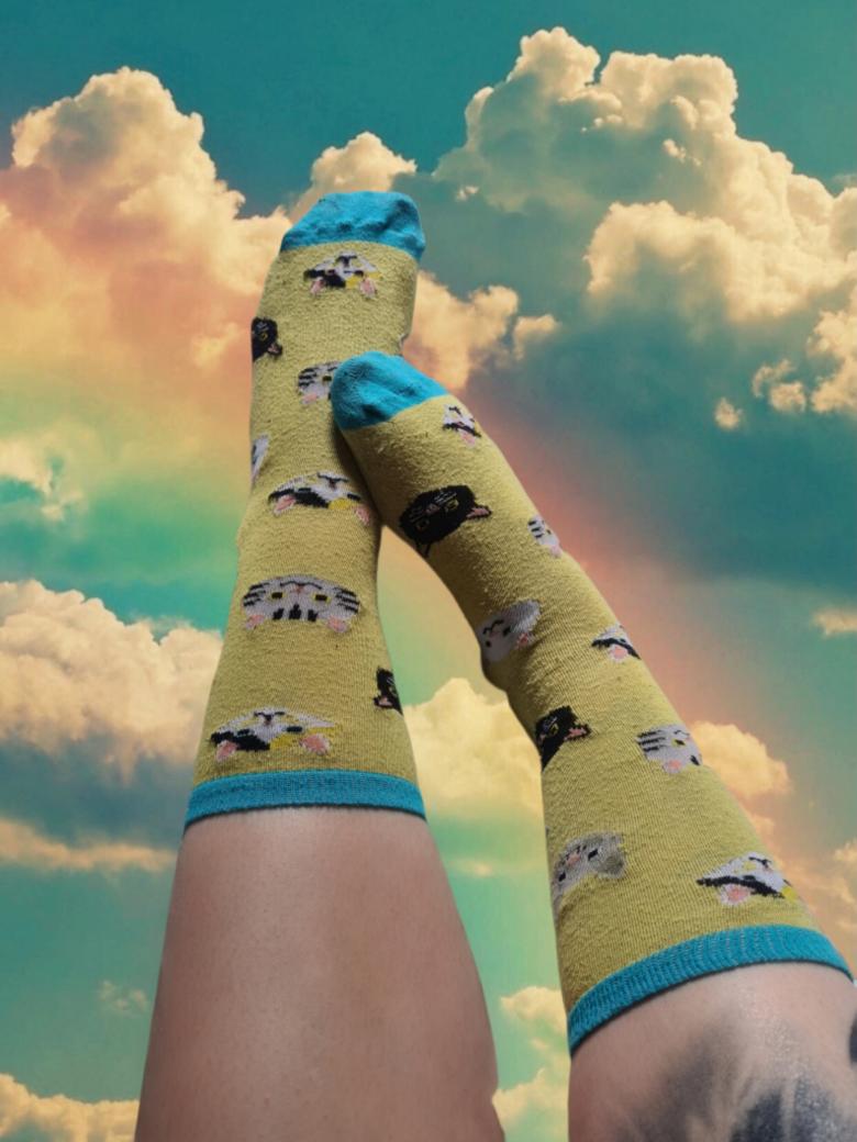 Katzen Socken