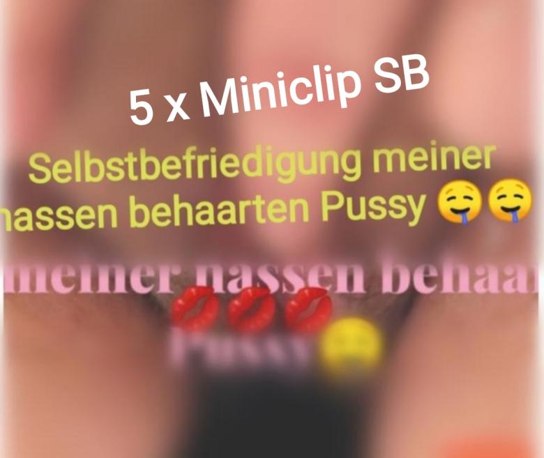 5 x Miniclip SB meiner Muschi
