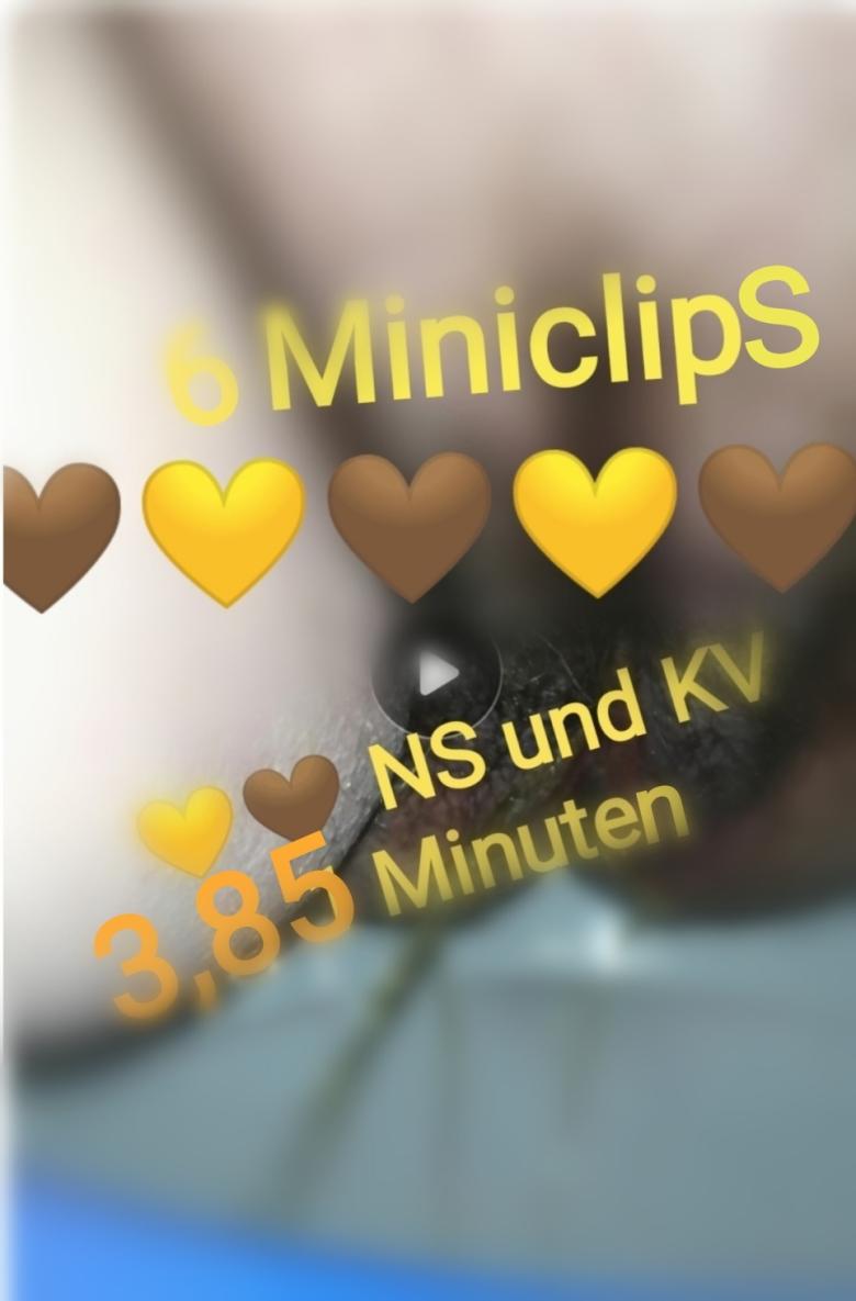 💛🤎 6 x Miniclip Toilettengang NS u. KV