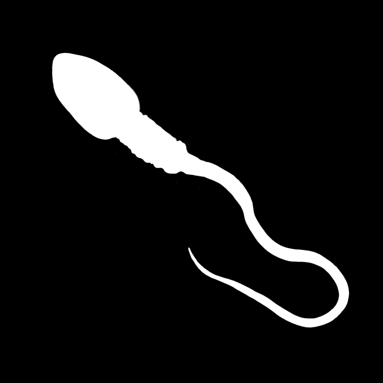 Sperma