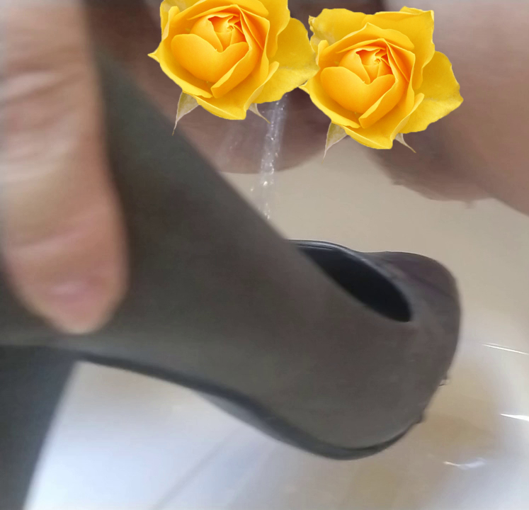 Ich pinkele in meinen Pumps